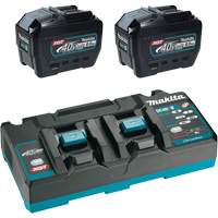 Ensemble de d&eacute;part XGT avec chargeur rapide &agrave; deux ports et deux batteries de 8?Ah, 40 V, Lithium-ion MAS Chibougamau