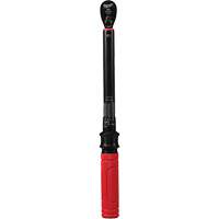 Torque Wrench, Click, 3/8" Square Drive, 20 - 100 in-lbs/27.1 - 135.6 N.m MAS Chibougamau