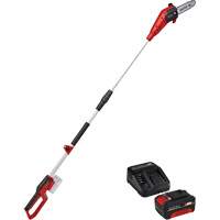 Cordless Pole Chain Saw with 4Ah Battery & Charger Starter Kit MAS Chibougamau