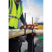 Medium Trigger Clamps Set, 12" (304.8 mm) MAS Chibougamau