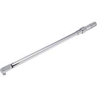 Fixed Head Micrometer Torque Wrench, Click, 1/2" Square Drive, 50-250 ft-lbs. MAS Chibougamau