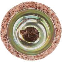 Standard Abrasives Quick-Change Surface Conditioning Disc, 3/4" Dia., Coarse Grit, Aluminum Oxide MAS Chibougamau