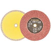 QUICK-STEP FLEX, 5" x Type 29, Grain 40, Oxyde d'aluminium MAS Chibougamau