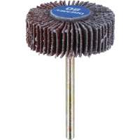3/8" Flapwheel Sanding Bit - 80 Grit MAS Chibougamau