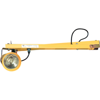 Lampes pour les quais, Bras 60", Ampoule Incandescente, M&eacute;tal MAS Chibougamau
