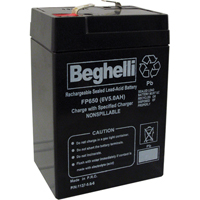 Sealed Lead Acid Batteries, 6 V, 5 Ah MAS Chibougamau