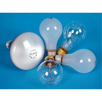 Bulbs
