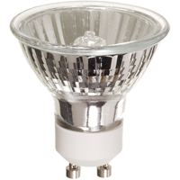 Bulbs