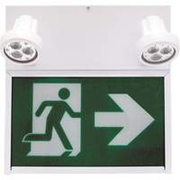 Running Man Exit Sign, LED, Battery Operated/Hardwired, 12" L x 12 1/2" W, Pictogram MAS Chibougamau