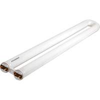 OCTRON&reg; 800 CURVALUME Fluorescent Lamps, 31 W, T8 U-Shaped, 4100 K, 22.5" Long MAS Chibougamau
