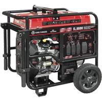 G&eacute;n&eacute;ratrice &agrave; essence &agrave; deux cylindres en V, 15 000 W de surtension, 12 500 W nominale, 120 V/240 V, R&eacute;servoir de 40 L MAS Chibougamau