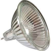 Replacement MR16 Bulb MAS Chibougamau