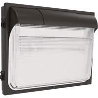 Wall Mount Light Fixtures