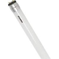 SubstiTUBE&reg; Frosted Glass LED Bulb, 12 W, T8, 5000 K, 48" L MAS Chibougamau