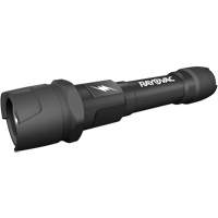 Virtually Indestructible Flashlight, LED, 350 Lumens, AA Batteries MAS Chibougamau