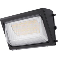 Wall Pack Light Fixture, LED, 120 -347 V, 80 W MAS Chibougamau