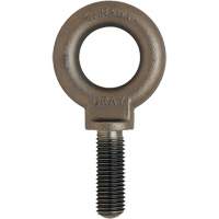 Boulon &agrave; œil, 3/4" dia, 1" lo, Fini naturel sans enduit, 650 lb (0,325 tonne) capacit&eacute; MAS Chibougamau